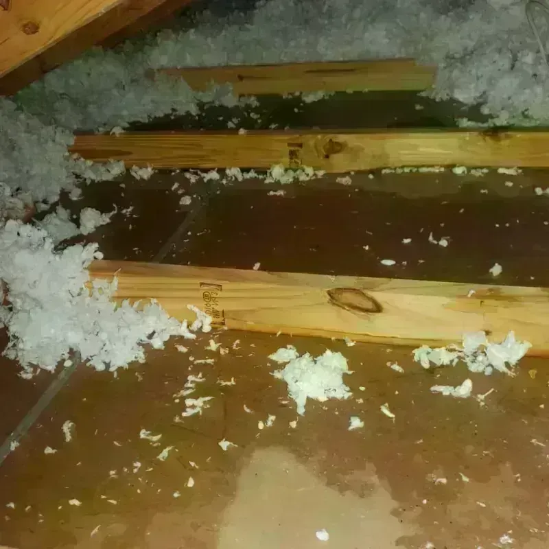 Attic Water Damage in Newark, CA