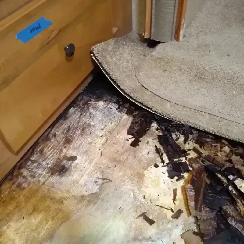 Wood Floor Water Damage in Newark, CA